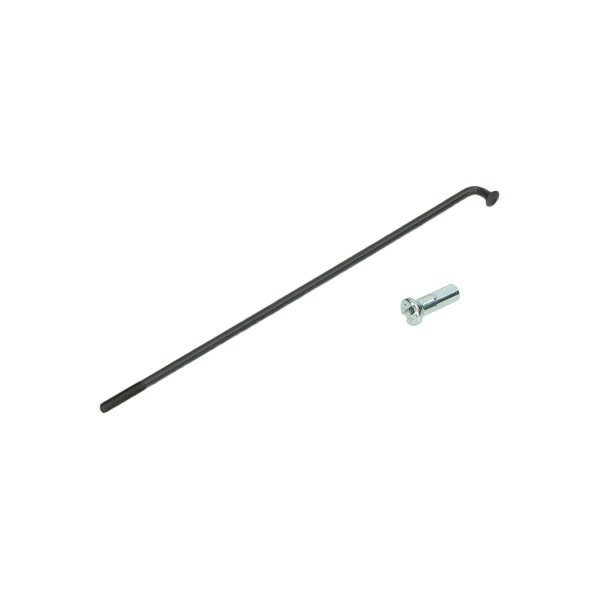 Speiche 244 mm mit Nippel (24")