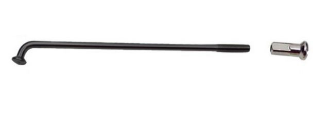 Triride Speiche für 20" Rad